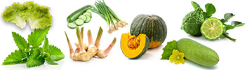 Suvipa Healthy Thai Food